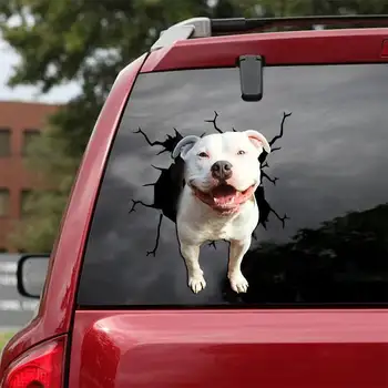 Pitbull Obtisk - vejde do auta, Notebooky a jakýkoliv hladký povrch, Pitbull Samolepky,Auto dekorace,Vlastní Pitbull Samolepka, Pes Obtisk, Jámy